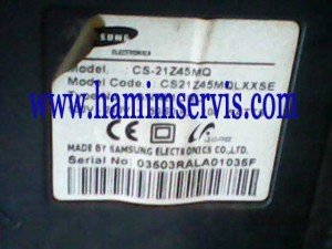 model-tv-samsung-cs21z45mq model-tv-samsung-cs21z45mq